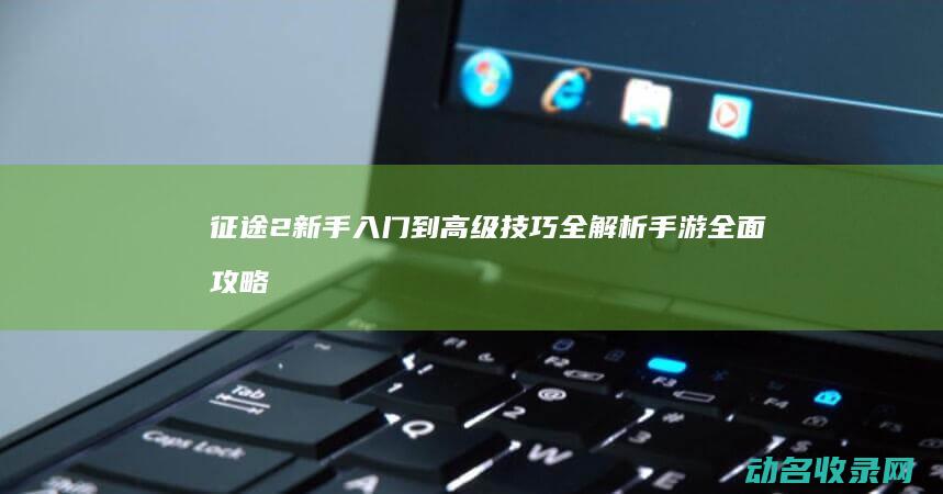 2新手入门到高级技巧全解析全面