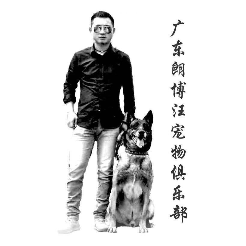 深圳训犬基地