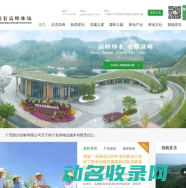 页面预览